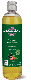 Shampoo Forest Energy 